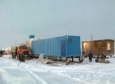 Омским крестьянам временно разрешили забивать скот дома.